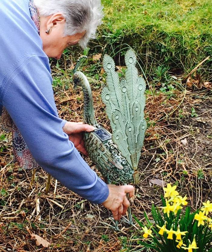 Sylvia gardening at Oakwood Park