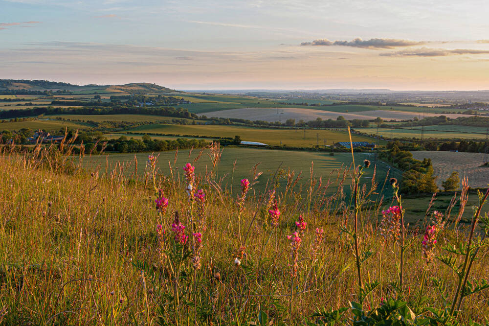 Ivinghoe