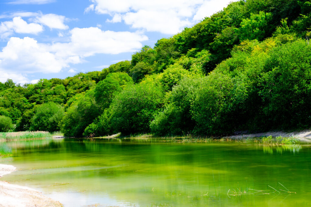 A photo showing a quiet part of Houghton Regis.