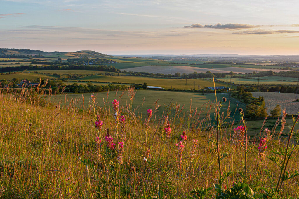 A photo showing the local landscape surrounding Invinghoe.