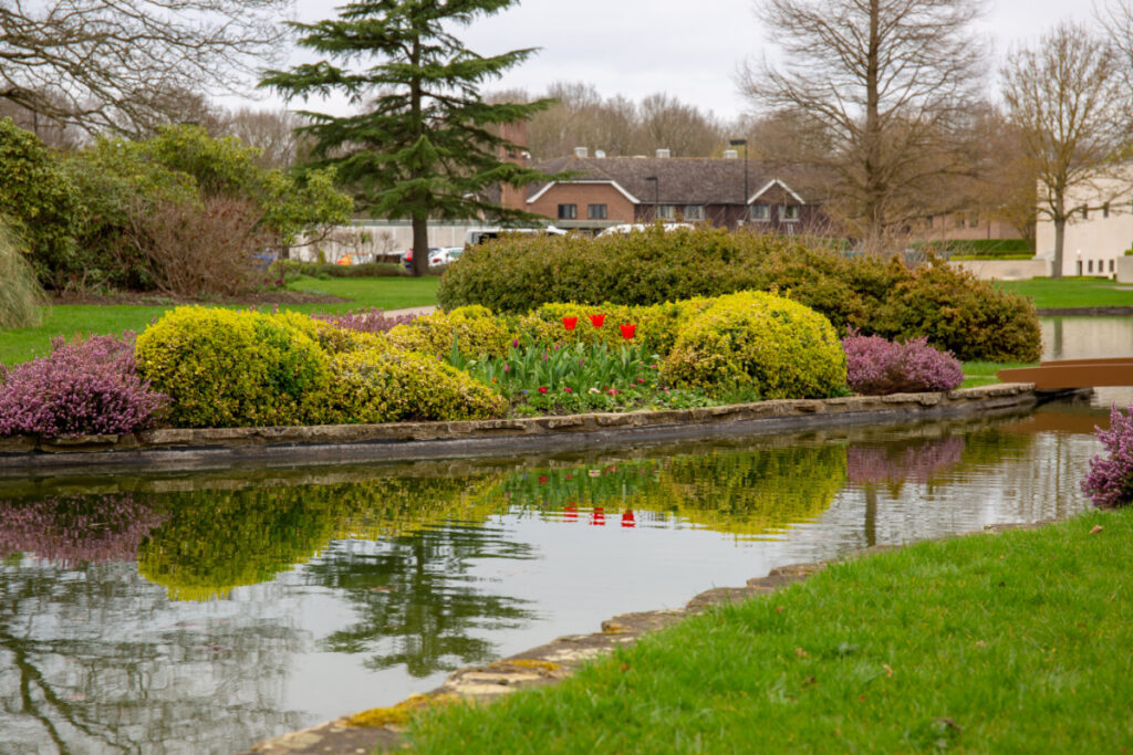 A photo showing a quiet area of a park in Lingfield.