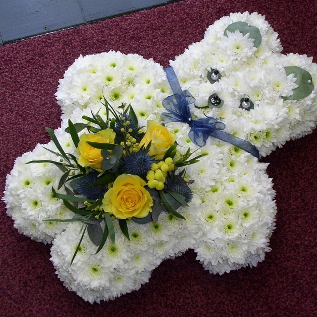 lg_292-f086-teddy 1