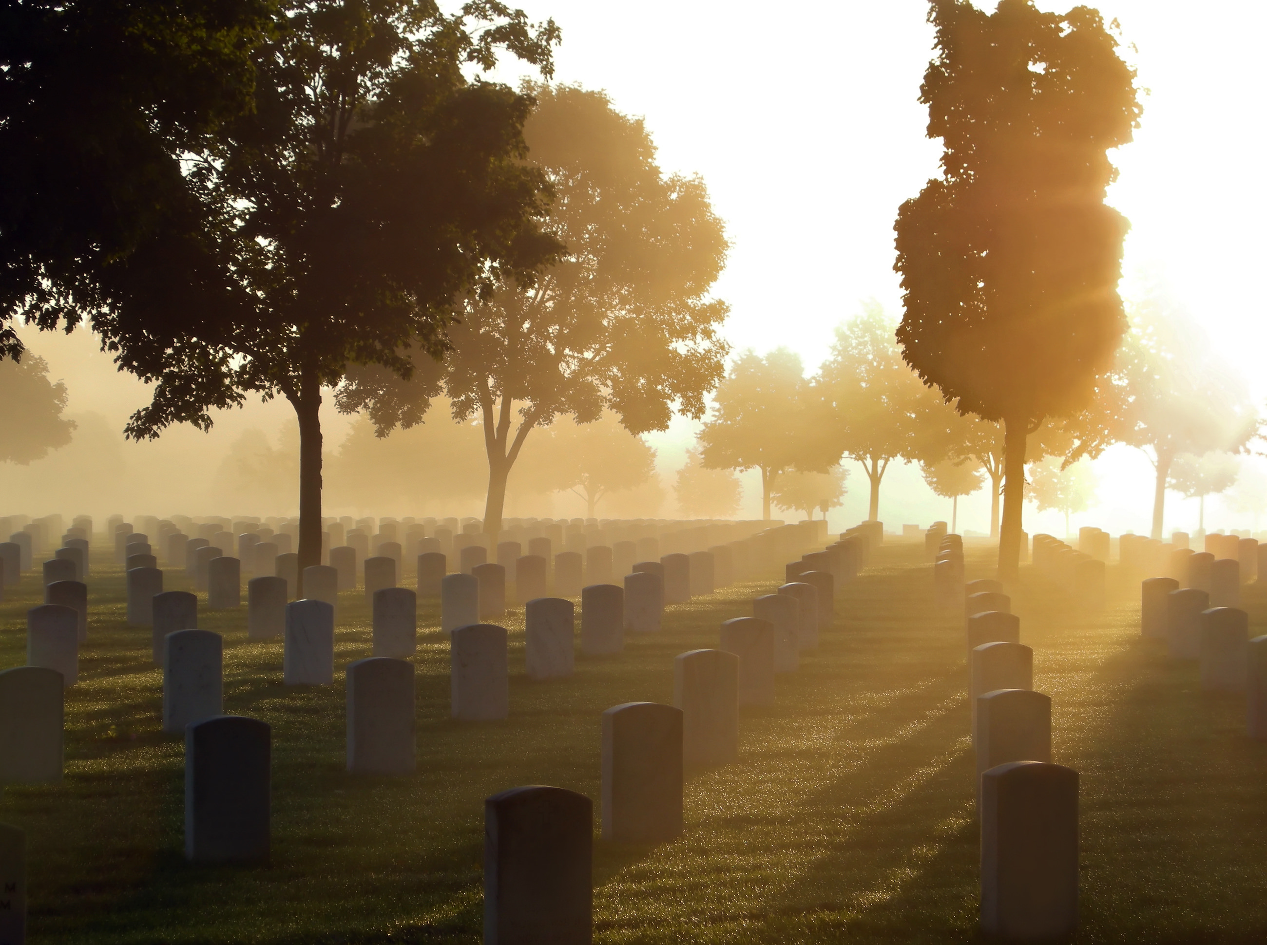 Cemetery with nice light
