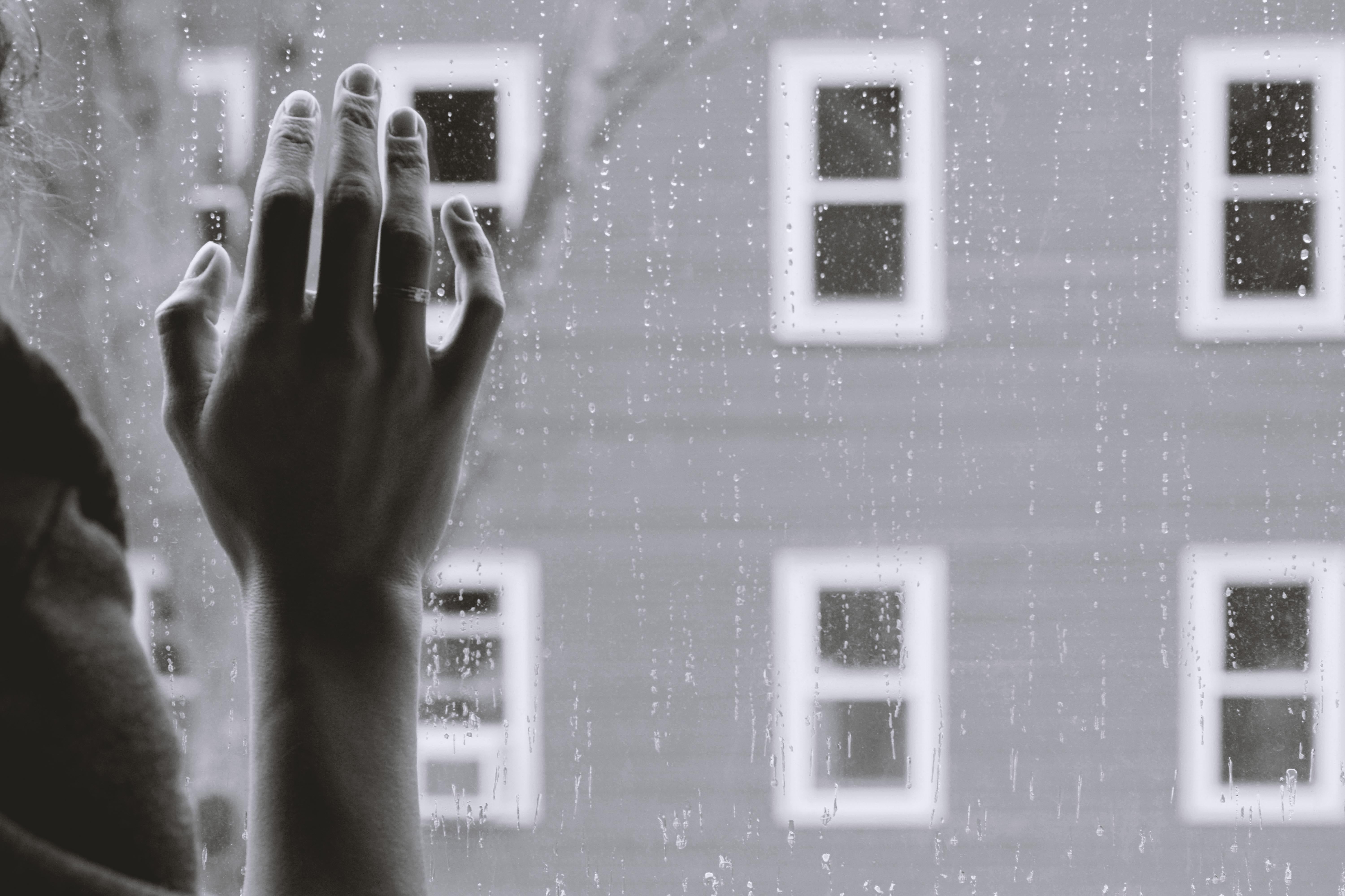 Kristina tripkovic nw WU Bs W6ud4 unsplash